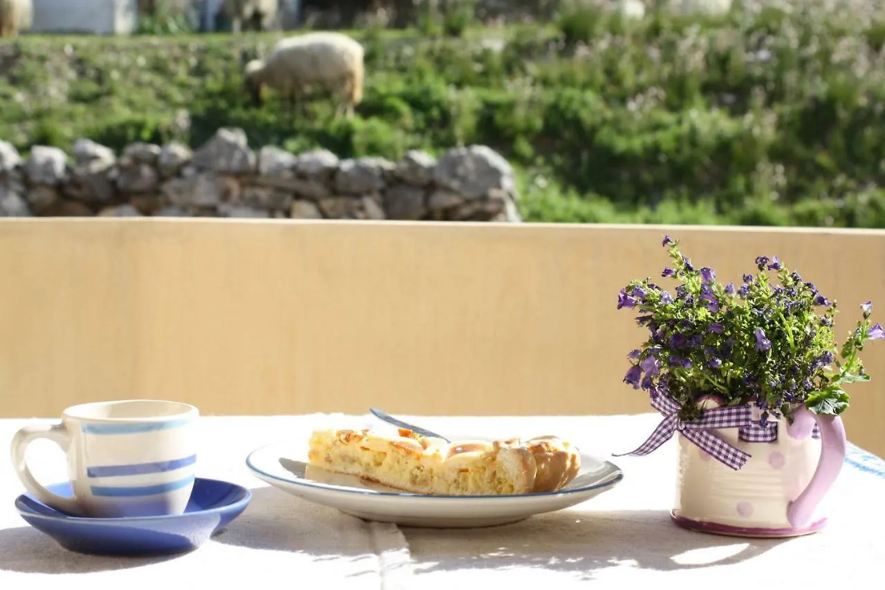 Alojamento de Acomodação e Pequeno-almoço B&B Bynos Baunei